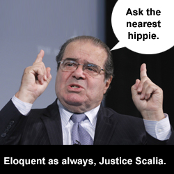 Eloquent as always, Justice Scalia.