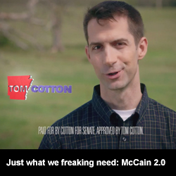 Just what we freaking need: McCain 2.0