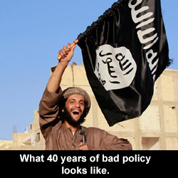 What 40 years of bad policy looks like.