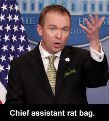 Chief assistant rat bag.