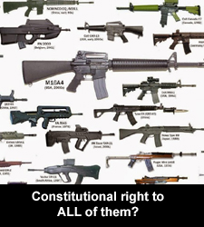 Constitutional right to ALL of them?