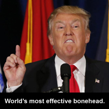 World's most effective bonehead