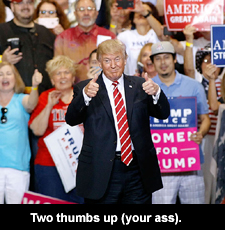 Two thumbs up (your ass)