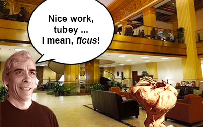 Nice work, tubey ... I mean, ficus!