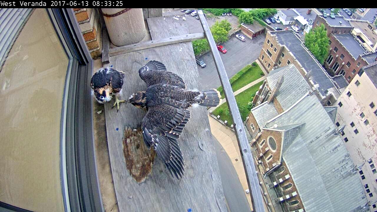 Luan and Max on the west veranda