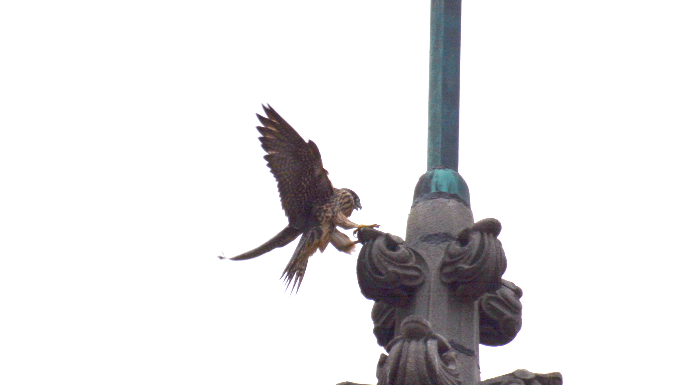 A landing on the very top of the steeple