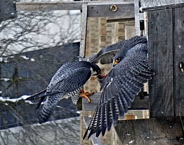 Right before she slips down into the gap, Astrid takes the gift from Ares 