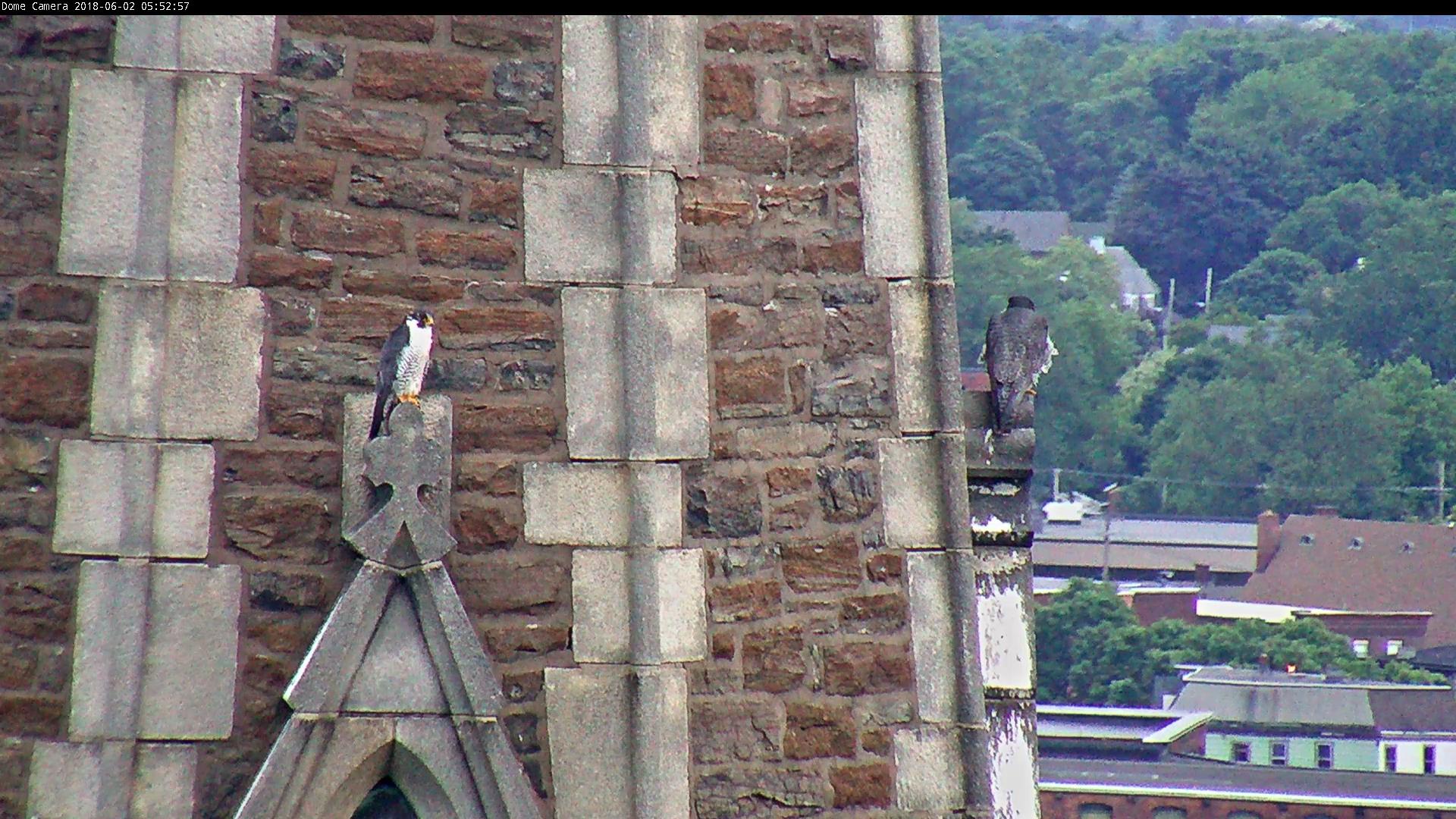 Astrid and Ares on the steeple