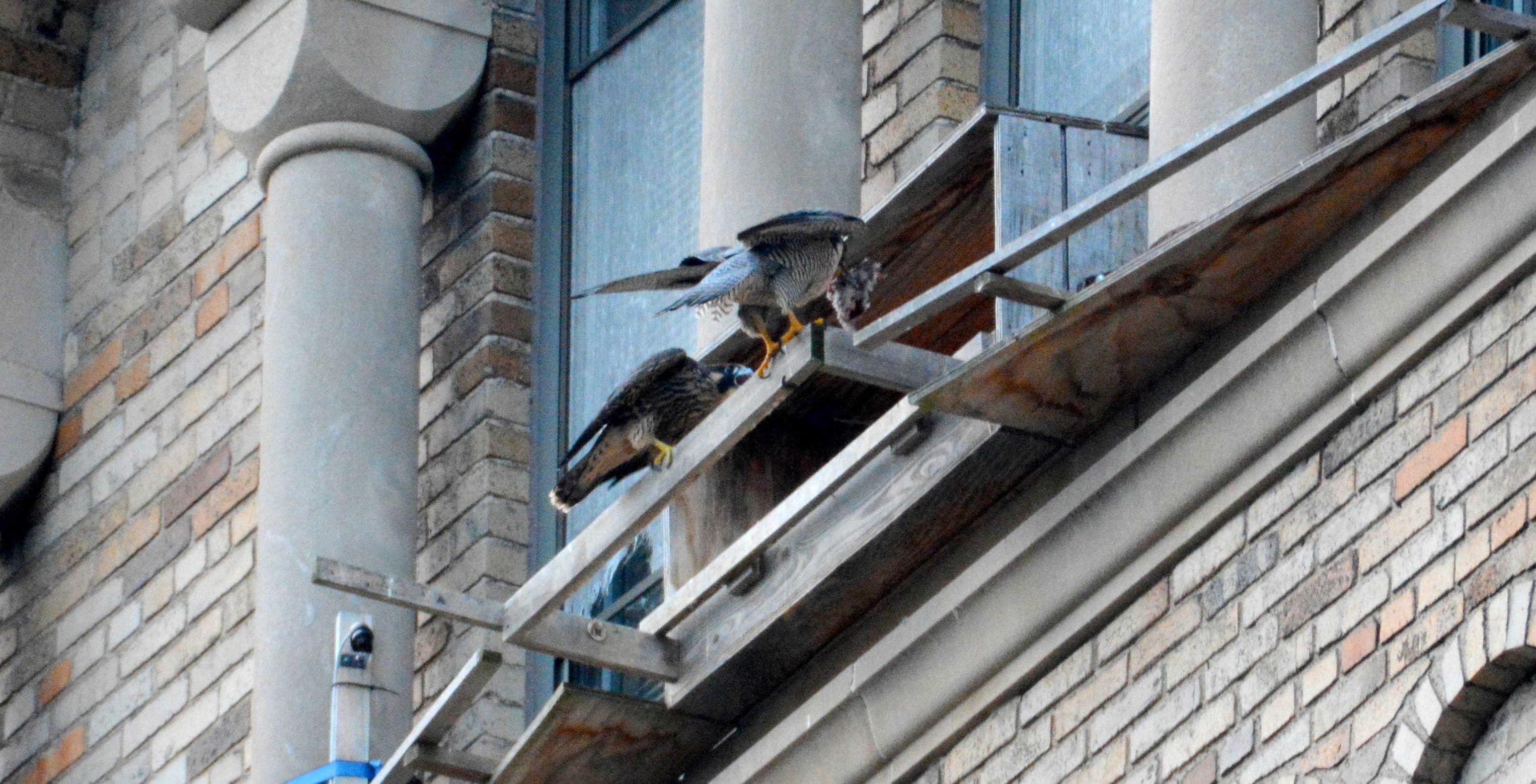 Astrid brings food to Petra after the release