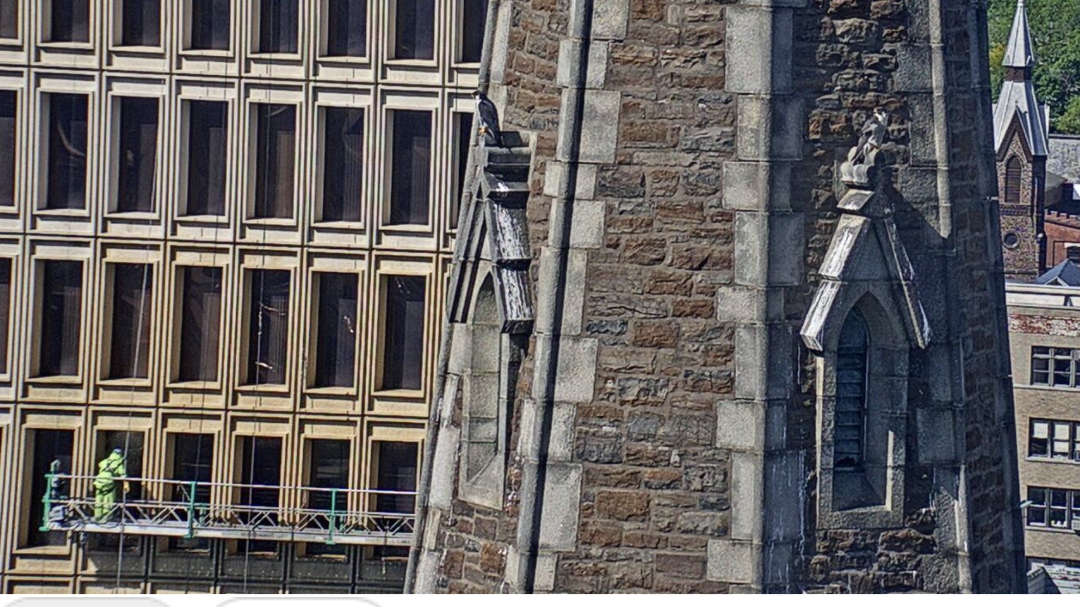 Astrid & Ares on steeple with workers on scaffolding in backround